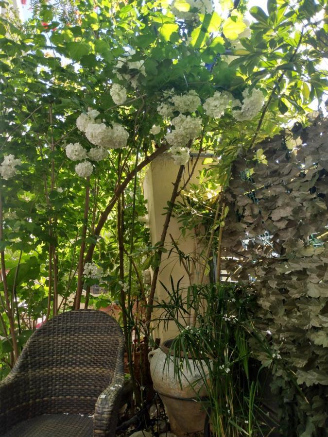 My Sunny Low Home Патра Екстериор снимка